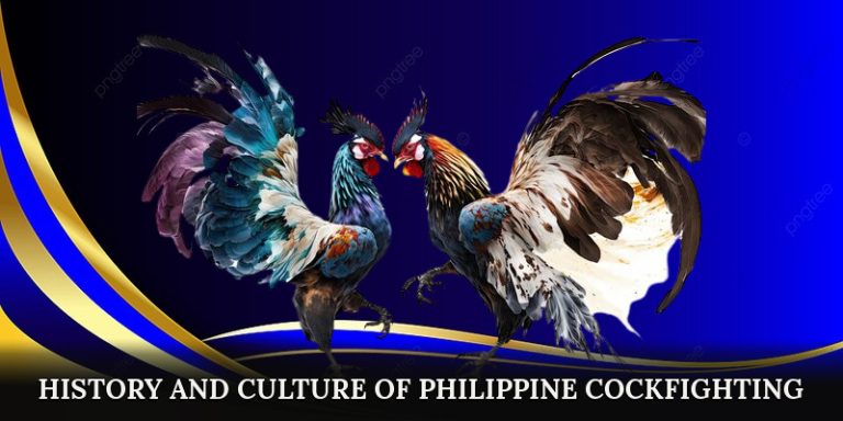 Philippine Cockfighting – Thrilling Matches and Big Bets